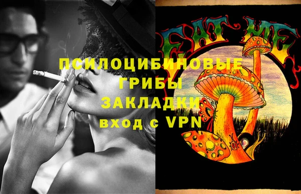ешки Бронницы