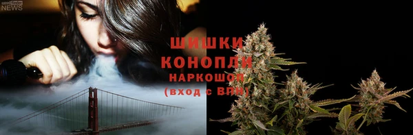 ешки Бронницы
