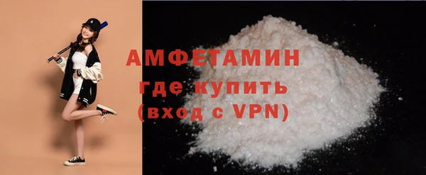 ешки Бронницы