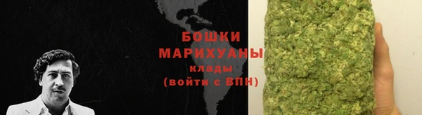 ешки Бронницы