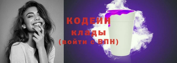 ешки Бронницы