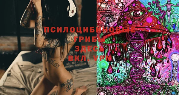 а пвп мука Бородино
