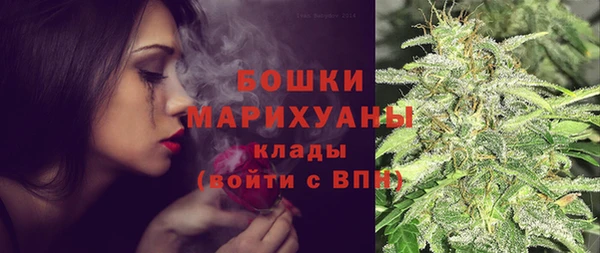 ешки Бронницы