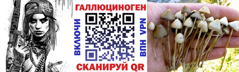 Псилоцибиновые грибы MAGIC MUSHROOMS  Купить  Хилок 